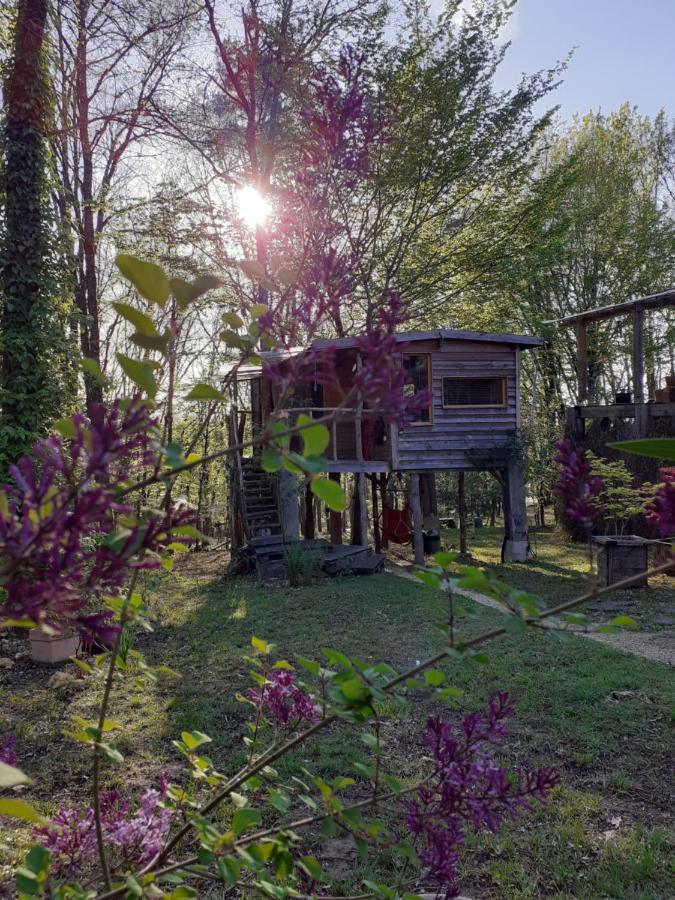 La Cabane De L'Oiseau Couze-et-Saint-Front Zewnętrze zdjęcie