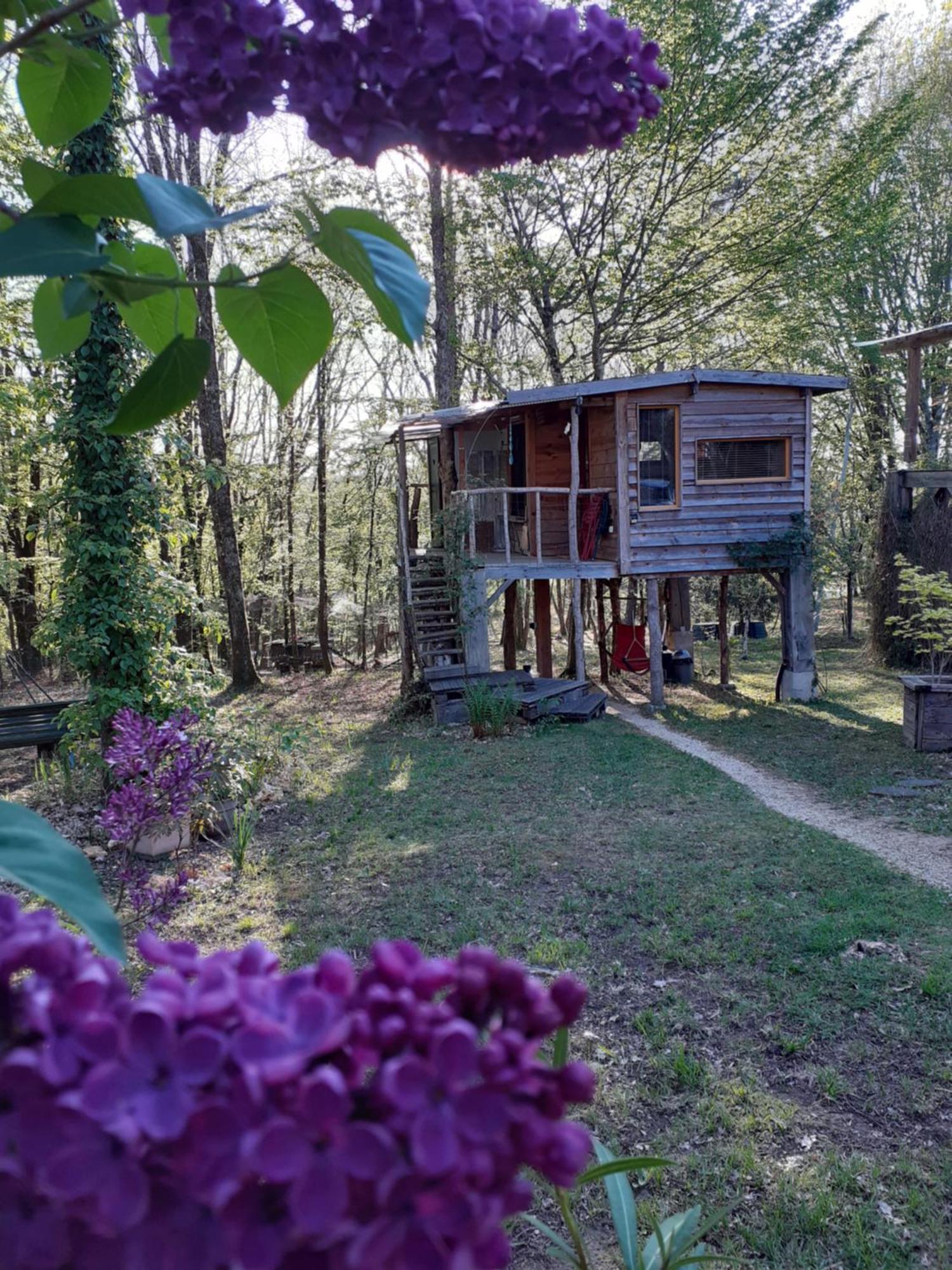 La Cabane De L'Oiseau Couze-et-Saint-Front Zewnętrze zdjęcie