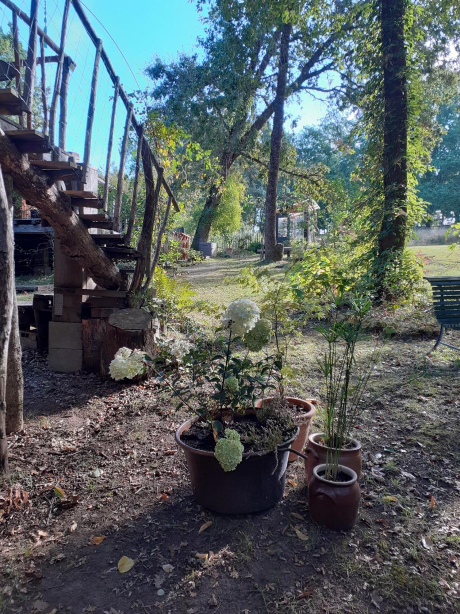 La Cabane De L'Oiseau Couze-et-Saint-Front Zewnętrze zdjęcie